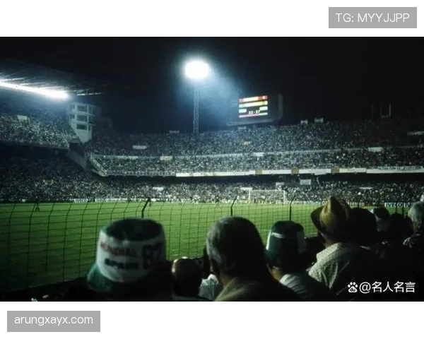 爱尔兰世界杯征程回顾：荣耀与挑战交织的难忘瞬间